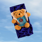 Petter Bear - Boxed Collectors Edition